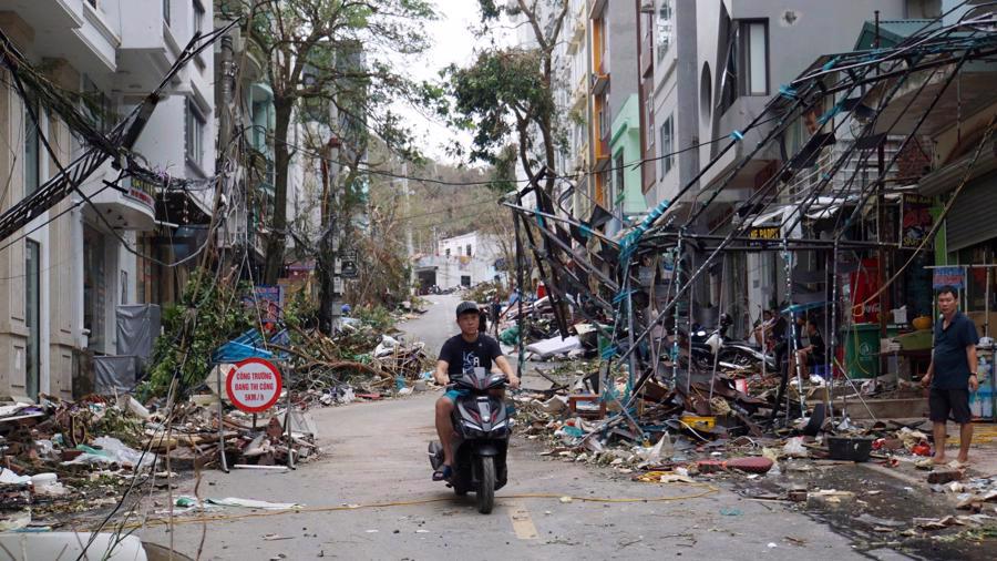 C&aacute;t B&agrave; tan hoang sau b&atilde;o số 3