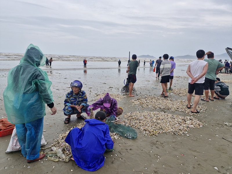 Dọc b&atilde;i biển Lộc H&agrave; lu&ocirc;n đ&ocirc;ng vui nhộn nhịp, thương l&aacute;i từ nhiều nơi đ&atilde; về tận b&atilde;i biển để mua hải sản tươi sống đem đi ti&ecirc;u thụ