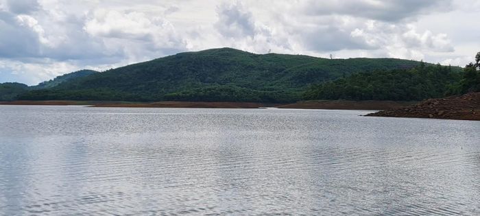  Đối với huyện Phú Ninh, nhập toàn bộ diện tích tự nhiên và quy mô dân số của xã Tam Vinh vào thị trấn Phú Thịnh 